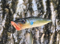 Image 3 of SPEEDBAITS Custom Airbrushed Topwater Popper 0692