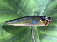 Image 9 of SPEEDBAITS Custom Airbrushed Topwater Popper 0692