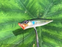 Image 10 of SPEEDBAITS Custom Airbrushed Topwater Popper 0692