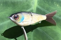 Image 2 of SPEEDBAITS Custom Airbrushed Glidebait 8758