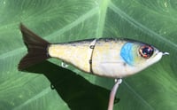 Image 3 of SPEEDBAITS Custom Airbrushed Glidebait 8758