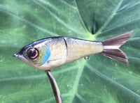 Image 1 of SPEEDBAITS Custom Airbrushed Glidebait 8758