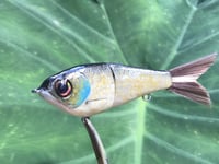 Image 5 of SPEEDBAITS Custom Airbrushed Glidebait 8758
