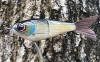 Image 9 of SPEEDBAITS Custom Airbrushed Glidebait 8758