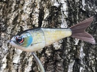 Image 10 of SPEEDBAITS Custom Airbrushed Glidebait 8758