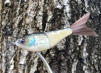 Image 13 of SPEEDBAITS Custom Airbrushed Glidebait 8758