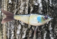 Image 14 of SPEEDBAITS Custom Airbrushed Glidebait 8758