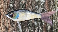 Image 15 of SPEEDBAITS Custom Airbrushed Glidebait 8758