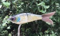 Image 17 of SPEEDBAITS Custom Airbrushed Glidebait 8758