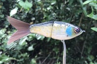 Image 18 of SPEEDBAITS Custom Airbrushed Glidebait 8758