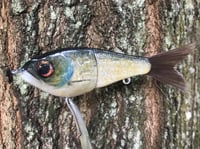 Image 19 of SPEEDBAITS Custom Airbrushed Glidebait 8758