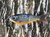 Image 1 of SPEEDBAITS Custom Airbrushed Glidebait 6894