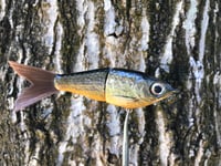 Image 2 of SPEEDBAITS Custom Airbrushed Glidebait 6894