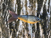 Image 3 of SPEEDBAITS Custom Airbrushed Glidebait 6894