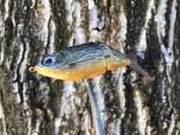 Image 4 of SPEEDBAITS Custom Airbrushed Glidebait 6894