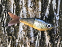 Image 6 of SPEEDBAITS Custom Airbrushed Glidebait 6894