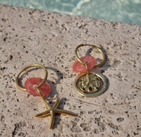 Image 1 of Dollars des sables 