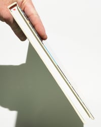 Image 10 of The Green Hand by Nicole Claveloux