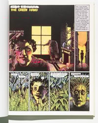 Image 4 of The Green Hand by Nicole Claveloux