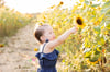 Sunflower Mini Sessions-  
