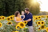 Sunflower Mini Sessions-  