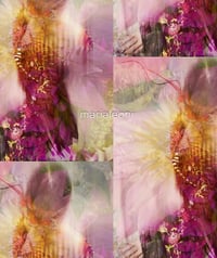 Image 3 of Geisha limited edition scarf