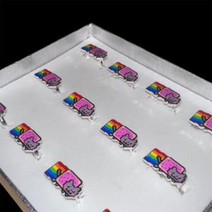 Image of nyan cat ring