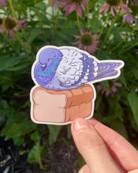 Image 1 of Pigeon Loaf Weatherproof Sticker