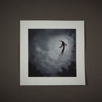 Image 1 of Once crowned king