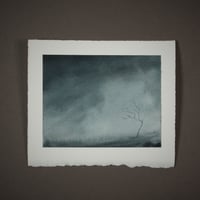 Image 1 of Unloved and forgotten