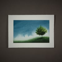 Image 1 of Too bright