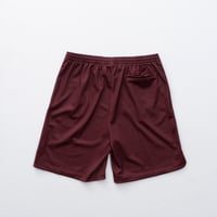 Image 4 of 'Snook' Mesh Shorts [BURGUNDY]