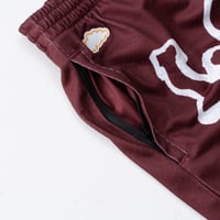 Image 3 of 'Snook' Mesh Shorts [BURGUNDY]