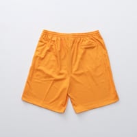 Image 4 of 'Snook' Mesh Shorts [GOLD]