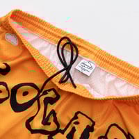 Image 2 of 'Snook' Mesh Shorts [GOLD]