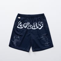 Image 1 of 'Snook' Mesh Shorts [NAVY]