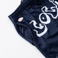 Image 3 of 'Snook' Mesh Shorts [NAVY]