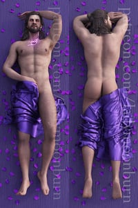 SFW 18+ "STOP LICKING THE DAMN THING!" Gale body pillow cover (dakimakura)