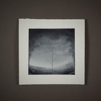 What are they up to?