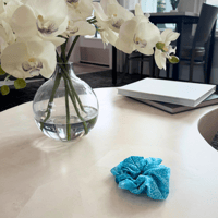 Image 1 of Turquoise Birdbath Hair Scrunchie