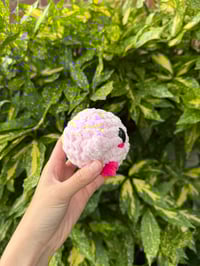 Image 3 of PINK BALL