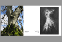 Image 3 of Ghosts book