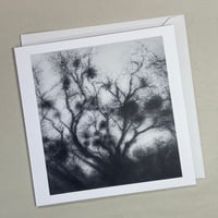 Image 2 of Birken gift cards