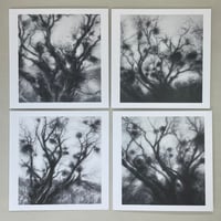 Image 3 of Birken gift cards