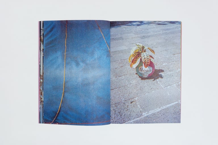 Bubble Gum Stuck On My Shoe – Carolina Pimenta Image 2