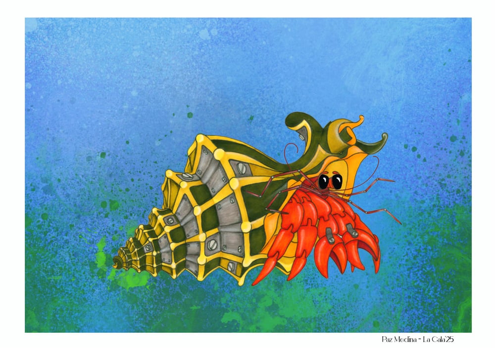 Image of Scarlet Reef Hermit🐚