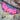 "LDMVS" - Pink marshmallow