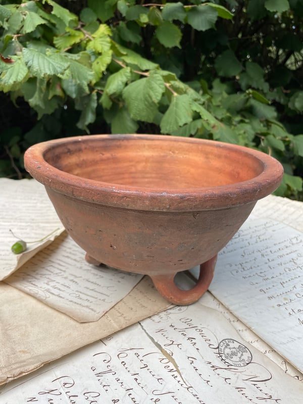 Image of Potato Bowl