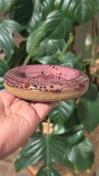 Image 2 of Donut Dishes