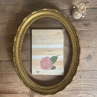 Image 1 of Amour à la vie 